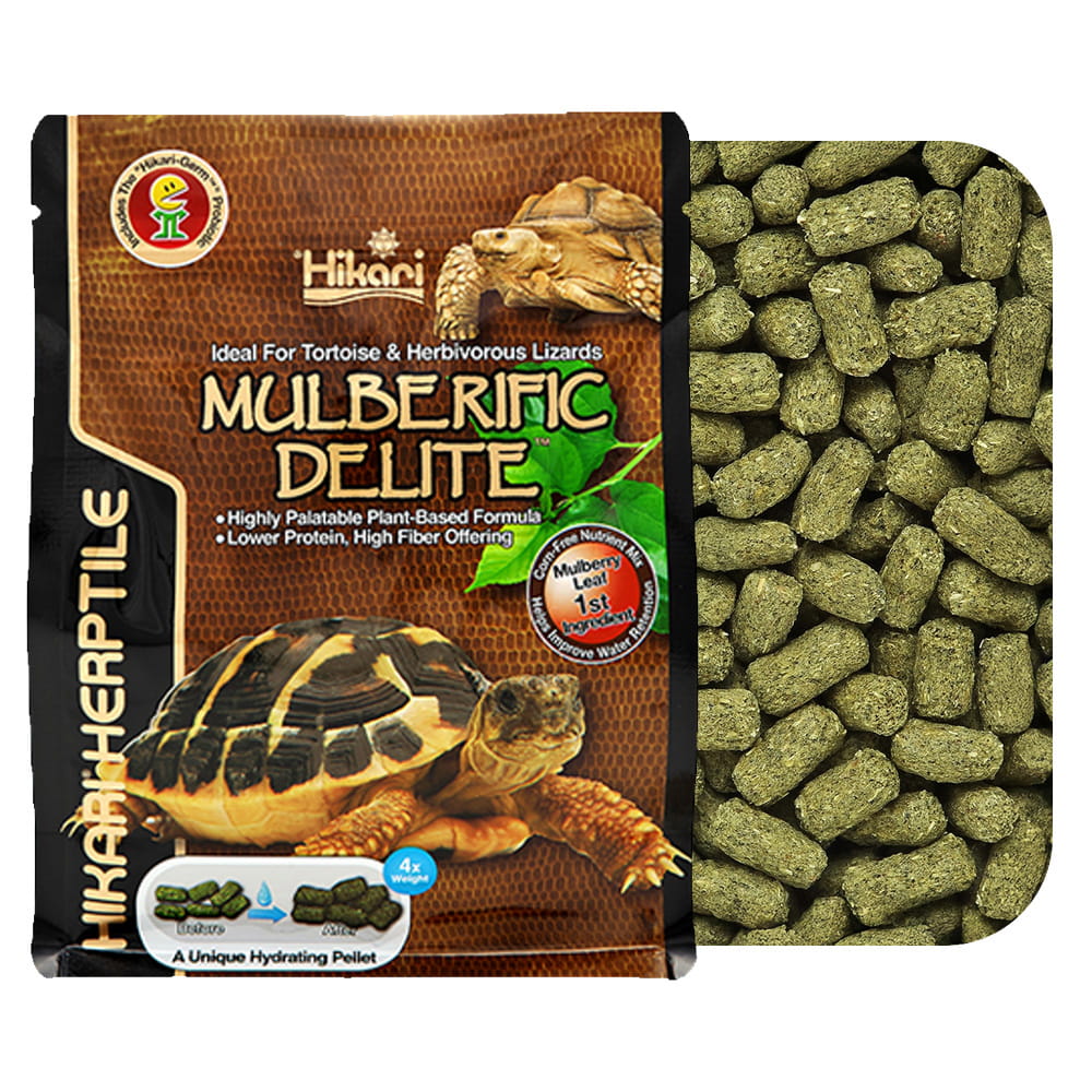Hikari MULBERIFIC DELITE Pokarm dla Żółwi lądowych 650g
